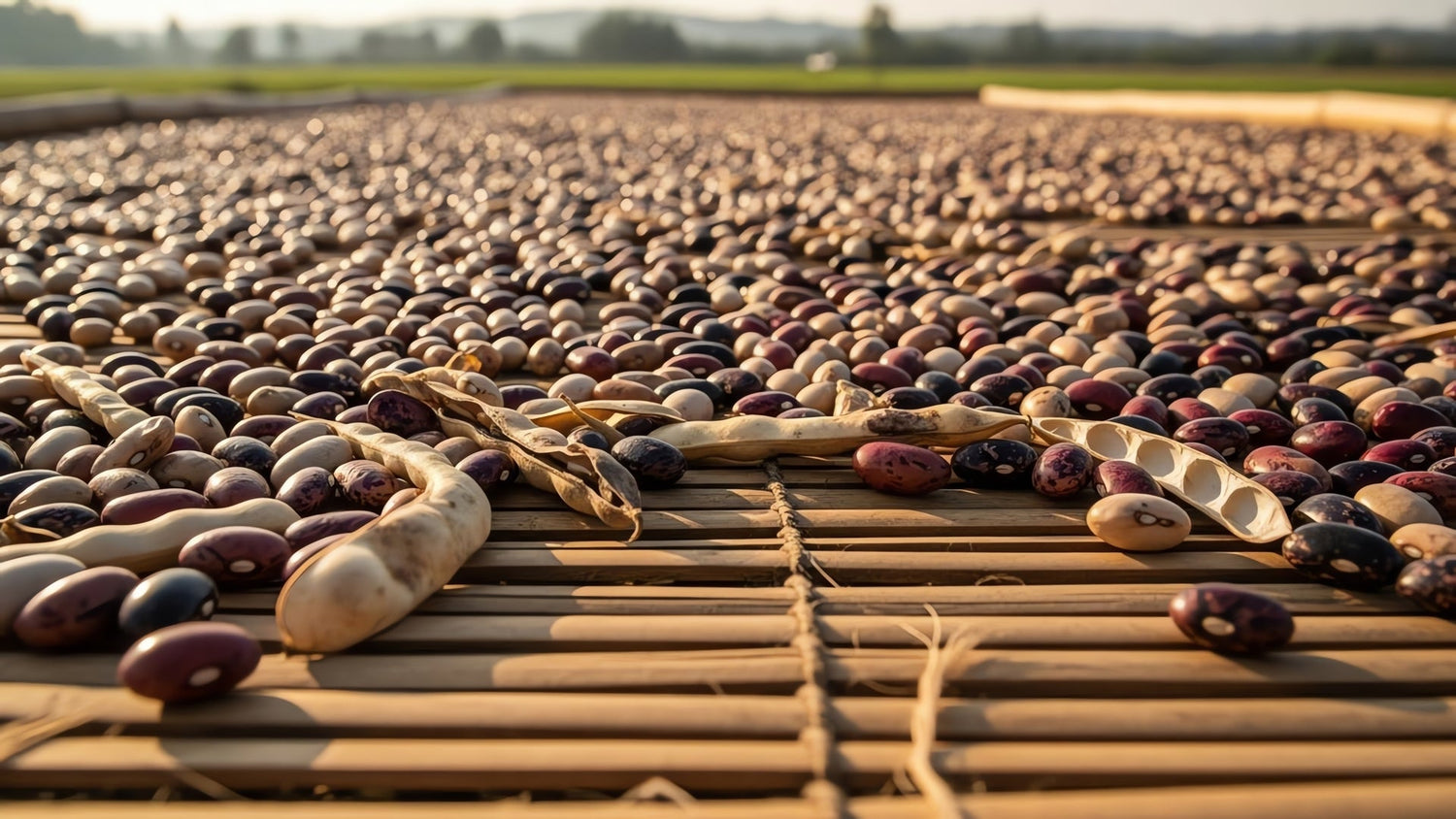 I Presìdi Slow Food dell’Umbria