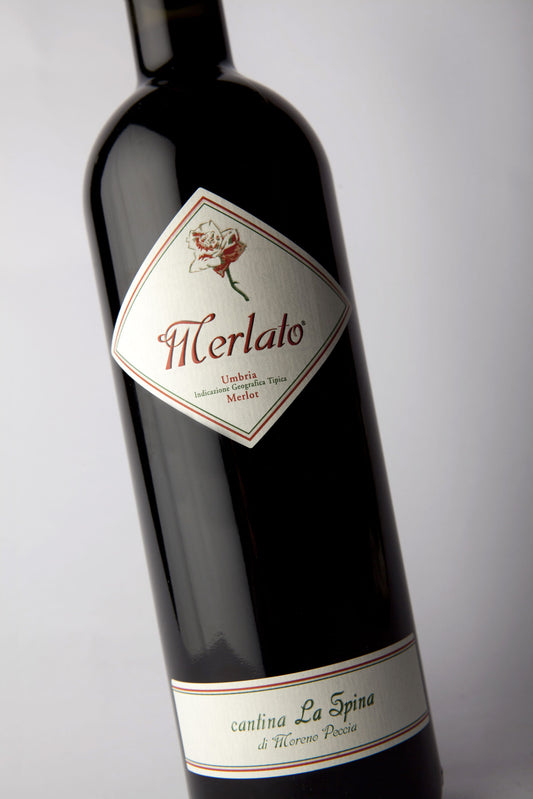 Merlato, La Spina Winery - Merlot Umbria IGT