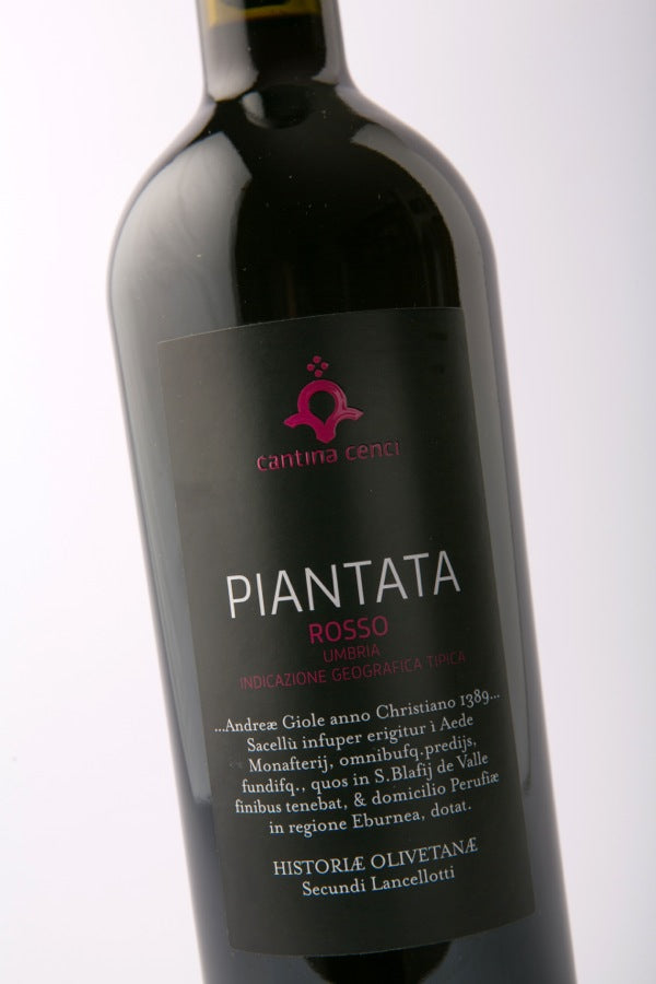 Piantata, Cantina Cenci - Umbria Rosso IGT (Organic)